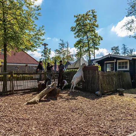 Near The Golf Course On A Velsen-Zuid